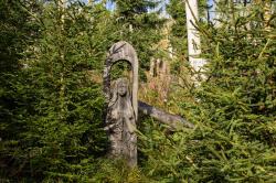 Ein Ziel der grenzüberschreitenden Radtour am 9. Juni ist die Moldauquelle im Nationalpark Ŝumava. (Foto: Andreas Stumpp)