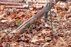 An einigen Stellen im Wald sind Messeinrichtungen zu sehen. Welche Projekte dahinter stecken erklärt Wilhelm Hof auf seiner Führung aus der Reihe Nationalpark und erster Hand. (Foto: Gregor Wolf/Nationalpark Bayerischer Wald)