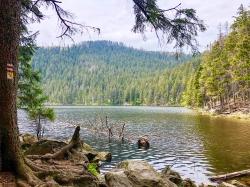 Der idyllisch gelegene Čertovo jezero (Teufelsee) ist Ziel einer grenzüberschreitenden Wanderung am 21. Juli. (Foto: Sandra Schrönghammer)