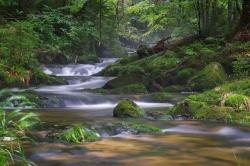 Das Sagwasser wird im Rahmen einer Führung von Pfarrer Markus Krell am 27. Juli gesegnet. (Foto: Rainer Simonis)