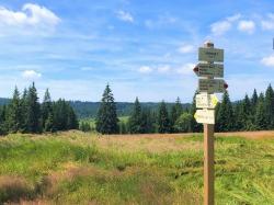 Die grenzüberschreitende Wanderung am 4. August führt die Teilnehmer zu den Flächen der ehemaligen Siedlung Gsenget. (Foto: Sandra Schrönghammer/Nationalpark Bayerischer Wald – Freigabe nur in Verbindung mit dem Veranstaltungshinweis)