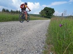 Die offene Landschaft mit ihrer einzigartigen Natur genießen kann man auf dem Radweg, der nach Fürstenhut führt. (Foto: Annette Nigl /Nationalpark Bayerischer Wald ­  –  Freigabe nur in Verbindung mit dem Veranstaltungshinweis)