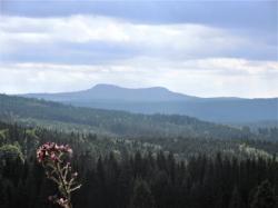 Am 11. August gibt es wieder eine der beliebten Wanderungen in den Nationalpark Šumava. (Foto: Heinrich Vierlinger)