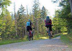 Am Sonntag, 25. August, findet wieder eine der beliebten grenzüberschreitenden Radtouren in das Landschaftsschutzgebiet Šumava statt. (Foto: Annette Nigl/Nationalpark Bayerischer Wald)