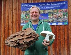 Peter Karasch mit einem Riesenporling und einem Großsporigen Riesenchampignon. Auch diese beiden Exemplare werden bei der Ausstellung zu sehen sein. (Foto: Annette Nigl / Nationalpark Bayerischer Wald)