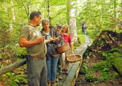 Im Rahmen des Workshops waren die PilzCoaches unter anderem auf dem Seelensteig bei Spiegelau unterwegs, um Pilze aller Art zu suchen und zu bestimmen. (Foto: Katharina Krieglsteiner)