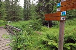 Die Holzbrücke am Grenzübergang Ferdinandsthal wird erneuert. (Foto: Gregor Wolf/Nationalpark Bayerischer Wald)