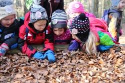 Den Wald mit allen Sinnen erkunden, das gehört in den Ferien zum spannenden Programm der Nationalparkzentren Falkenstein und Lusen. (Foto: Nationalpark Bayerischer Wald)