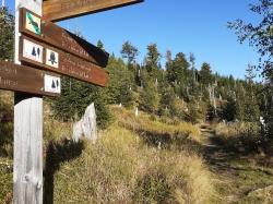 Über die Reschbachklause und den Siebensteinkopf führt die grenzüberschreitende Wanderung in den Nationalpark Šumava am Sonntag, 20. Oktober. (Foto: Annette Nigl)