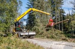 Mit einem Harvester werden derzeit am Reschbach Fichten gefällt, um den Grau-Erlen mehr Platz und Licht zu verschaffen. (Foto: Rainer Simonis/Nationalpark Bayerischer Wald)