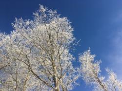 Natur in Verbindung mit besinnlichen Elementen erleben können alle Interessierten am 18. sowie 26. Dezember. (Foto: Sandra Schrönghammer)