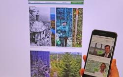Auf der Sonderseite zum 50. Nationalpark-Geburtstag, die für alle Endgeräte optimiert ist, gibt’s unter anderem interaktive Vorher-Nachher-Fotos sowie 50 Videobotschaften. (Foto: Gregor Wolf/Nationalpark Bayerischer Wald)
