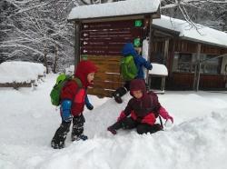 Beim Ferienprogramm des Nationalparks können Kinder Natur und Tiere im winterlichen Wald erkunden. (Foto: Anna Hermann/Nationalpark Bayerischer Wald ­  –  Freigabe nur in Verbindung mit dem Veranstaltungshinweis)