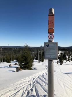 Welche Auswirkungen die Missachtung des Kerngebiets für Tiere im Winter hat, ist ein Thema der Schneeschuhtour am 29. Februar. (Foto: Alena Lettenmaier)