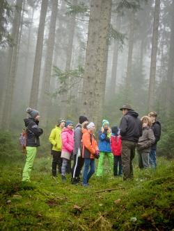 Knapp 500 Schulklassen kamen allein im vergangenen Jahr in den Nationalpark. Zum 50. Geburtstag gibt’s nun eine Fotoaktion für die jungen Naturfans. (Foto: Daniela Blöchinger/Nationalpark Bayerischer Wald)