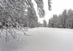 Der Albrechtschachten ist das Ziel einer Schneeschuhwanderung am 15. März. (Foto: Steffen Krieger/Nationalpark Bayerischer Wald)