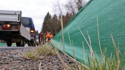 Ein 40 Zentimeter hoher Fangzaun wurde von Nationalparkmitarbeitern zwischen St. Oswald und Altschönau aufgebaut. (Foto: Annette Nigl/Nationalpark Bayerischer Wald)