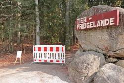 Die Einrichtungen des Nationalparks Bayerischer Wald, wie das Tier-Freigelände in Neuschönau, bleiben vorerst bis 10. Mai geschlossen. (Foto: Gregor Wolf / Nationalpark Bayerischer Wald