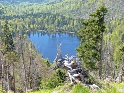 Der Rachelsee ist das Ziel der Wanderung am Samstag, 30. Mai. (Foto: Franz Leibl/Nationalpark Bayerischer Wald – Freigabe nur in Verbindung mit dem Veranstaltungshinweis)