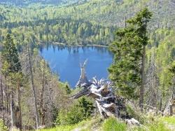 Der Rachelsee ist das Ziel der Wanderung am Samstag, 30. Mai. (Foto: Franz Leibl/Nationalpark Bayerischer Wald ­  –  Freigabe nur in Verbindung mit dem Veranstaltungshinweis)