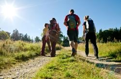 Auf den Tummelplatz führt die Wanderung mit Waldführer Günter Obermüller am 6. Juni (Daniela Blöchinger)