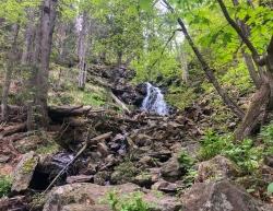 An den Höllbachfällen vorbei führt die Wanderung am Sonntag, 14. Juni. (Foto: Sandra Schrönghammer)