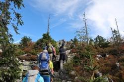 Viele Besucher sind derzeit an den Nationalpark-Hotspots, wie hier am Lusen, unterwegs. (Foto: Florian Porst/Nationalpark Bayerischer Wald)