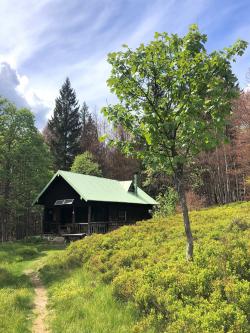 Auf der Hütte am Lindberger Schachten wird bei der Wanderung am 21. Juni eine Pause eingelegt. (Foto: Sandra Schrönghammer)