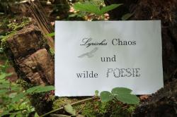 Unter dem Motto „Lyrisches Chaos und wilde Poesie“ findet der Poetry Slam statt. (Foto: Stefan Heigl/Nationalpark Bayerischer Wald)