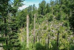 Durch das Teufelsloch führt die Wanderung am Samstag, 11. Juli. (Foto: Dr. Franz Leibl)