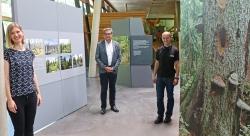 Freuen sich auch ohne große Eröffnungsfeier über die gelungene Waldentwicklungsausstellung: Lisa Ornezeder, stellvertretende Leiterin vom Haus zur Wildnis (von links), Nationalparkleiter Dr. Franz Leibl und Achim Klein, Leiter vom Haus zur Wildnis.  (Foto: Gregor Wolf/Nationalpark Bayerischer Wald)