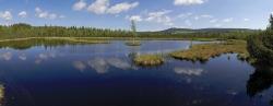 Zum Chalupská slat (Königsfilz) in Svinná lada (Seehaid) führt die grenzüberschreitende Wanderung am Sonntag, 19. Juli. (Foto: Josef Stemberk)