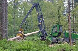 Der deutschlandweit noch nicht flächendeckend im Einsatz befindliche Debarking Harvester fällt, entastet und entrindet in einem Arbeitsschritt von Borkenkäfern befallene Fichten.  (Foto: Gregor Wolf/Nationalpark Bayerischer Wald)