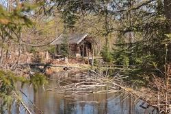 Zur idyllischen Steinbachklause führt die Wanderung auf dem zertifizierten Qualitätswanderweg am Samstag, 25. Juli. (Foto: Gregor Wolf)