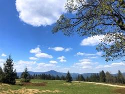 Am Ruckowitzschachten vorbei führt die Wanderung am 1. August. (Foto: Sandra Schrönghammer)