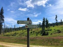 Über den Grenzübergang Gsenget nach Prasily führt die Radtour am 2. August. (Foto: Sandra Schrönghammer/Nationalpark Bayerischer Wald)