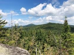 Dieser herrliche Blick zum Lusen bietet sich vom Großalmeyerschloß. (Foto: Sandra Schrönghammer/Nationalpark Bayerischer Wald ­– Freigabe nur in Verbindung mit dem Veranstaltungshinweis)