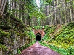 Entlang des Schwarzenberger Schwemmkanals geht es zurück zum Ausgangspunkt. (Foto: Sandra Schrönghammer/Nationalpark Bayerischer Wald – Freigabe nur in Verbindung mit dem Veranstaltungshinweis)