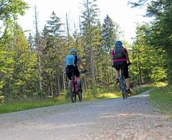 Am Sonntag, 16. August, sind alle Interessierten dazu eingeladen den Nationalpark Šumava per Rad zu erkunden. (Foto: Annette Nigl)