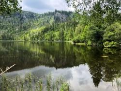 Der Plöckensteinersee ist ein Ziel der grenzüberschreitenden Radtour am Sonntag, 23. August. (Foto: Sandra Schrönghammer)