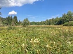 Durch das Tal der Křemelná führt die Wanderung am 30. August. (Foto: Gregor Wolf)