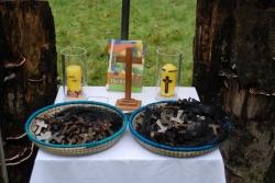 Der „Tag der Schöpfung“ am 4. September wird im Waldspielgelände bei Spiegelau mit einem ökumenischen Gottesdienst gefeiert. (Foto: Gerd Peter Woidte)