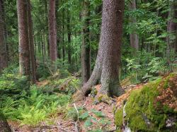 In den Abendstunden zur Ruhe kommen können die Teilnehmer der Wanderung am 25. September. (Foto: Dr. Franz Leibl)