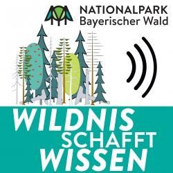 Das Logo zum neuen Format „Wildnis schafft Wissen“. (Grafik: Annemarie Schmeller/Nationalpark Bayerischer Wald)