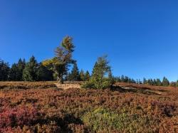 Der Jährlingsschachten ist ein Ziel der Tageswanderung am 10. Oktober. (Foto: Sandra Schrönghammer)