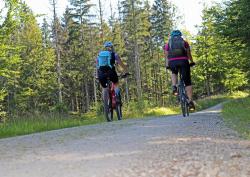 Ein Teilstück auf dem Radweg hinauf zum Falkenstein muss wegen Schäden vorübergehend gesperrt werden. (Foto: Annette Nigl/ Nationalpark Bayerischer Wald)