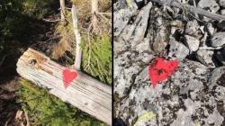 Ein nicht markierter Pfad wurde unerlaubterweise mit einem roten Herz gekennzeichnet. (Fotos: Nationalpark Bayerischer Wald)