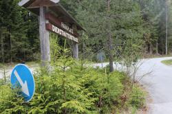 Die Straße zur Racheldiensthütte ist ab dem 25. November komplett für den Verkehr gesperrt. (Foto: Annette Nigl /Nationalpark Bayerischer Wald)