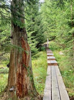 Über den Seelensteig führt die ökumenisch meditative Wanderung am Samstag, 5. Juni. (Foto: Gregor Wolf)