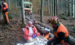 Bis zum Eintreffen von Rettungsdienst und Bergwacht versorgten Kollegen den „verletzten“ Waldarbeiter. (Foto: Reinhold Weinberger/Nationalpark Bayerischer Wald)